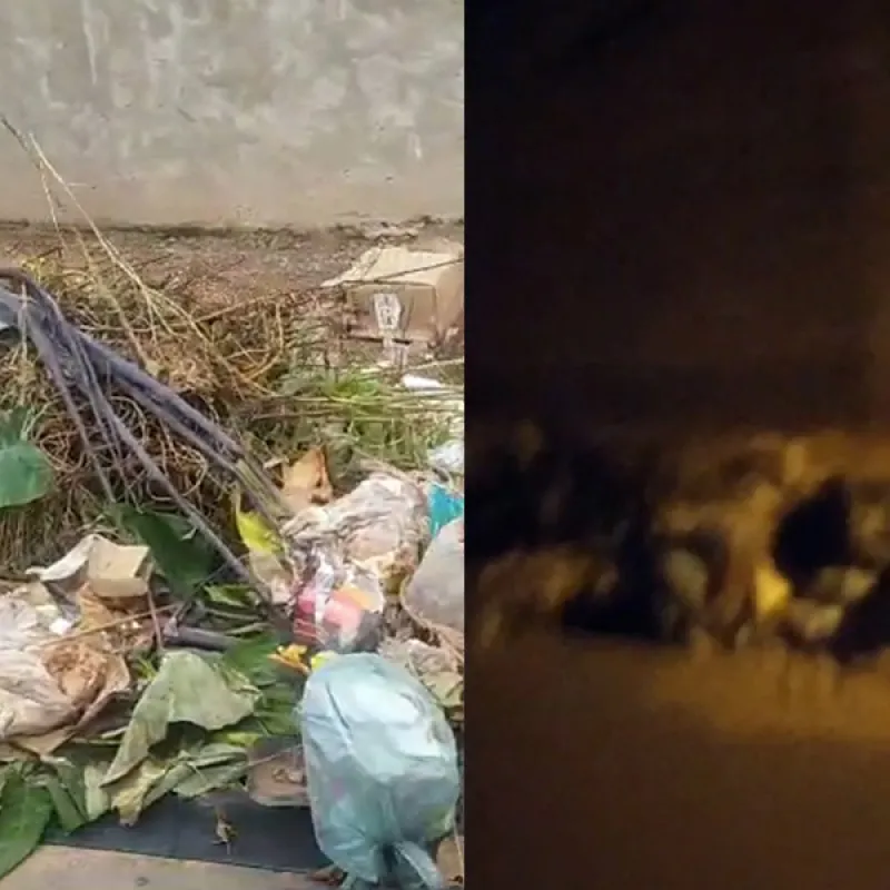 'Lixo por todo canto' deixa barrestivesses indignados com setor de limpeza da prefeitura