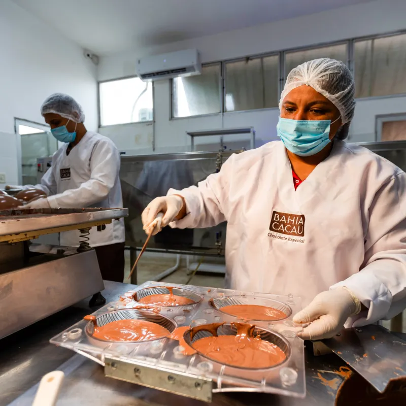 Bahia Cacau: pioneira no chocolate da agricultura familiar gera renda e transforma vidas no campo