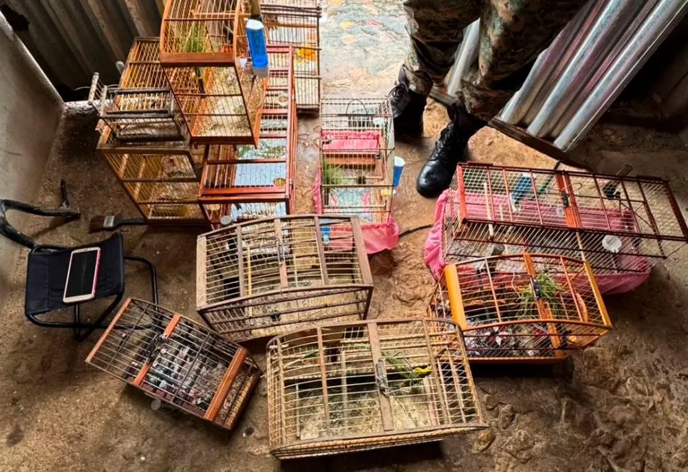 CIPPA/LENÇÓIS INTENSIFICA AÇÕES AMBIENTAIS EM NOVA REDENÇÃO E IBICOARA