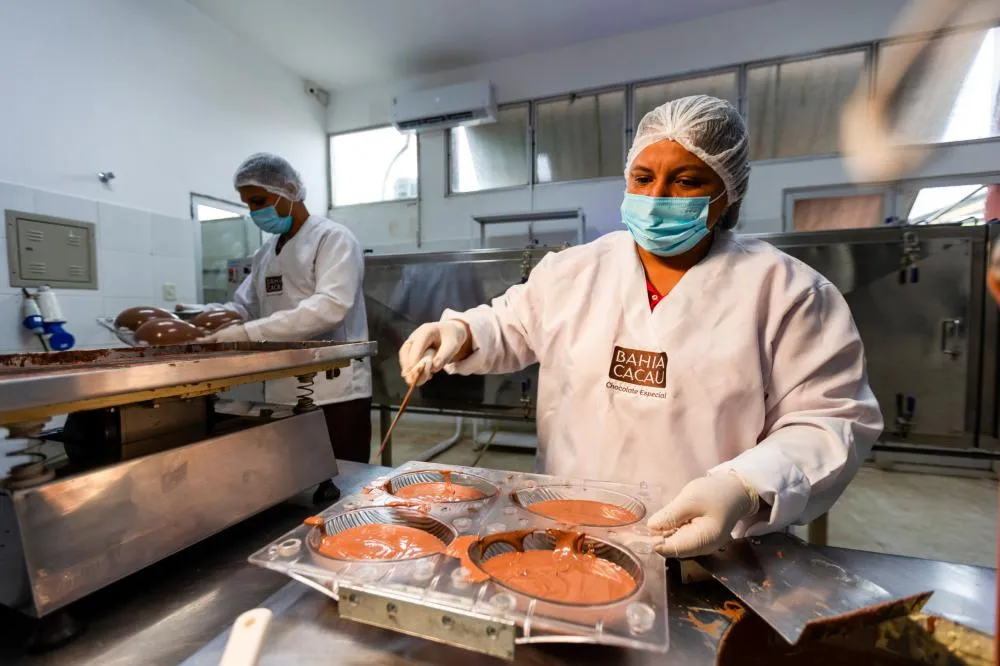 Bahia Cacau: pioneira no chocolate da agricultura familiar gera renda e transforma vidas no campo