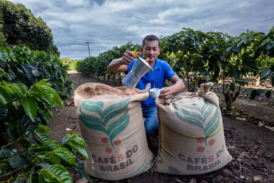 Investimentos na produção geram impactos positivos na qualidade do café e na economia da Bahia