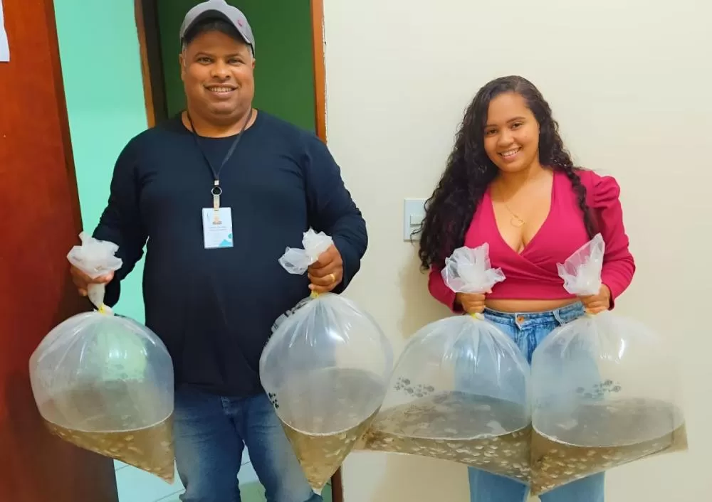 Mais 7 mil alevinos são entregues para produtores de peixe em Ibicoara