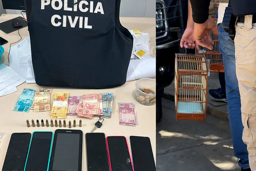 Polícia Civil faz apreensão de droga, munições e passáros silvestres em Brumado