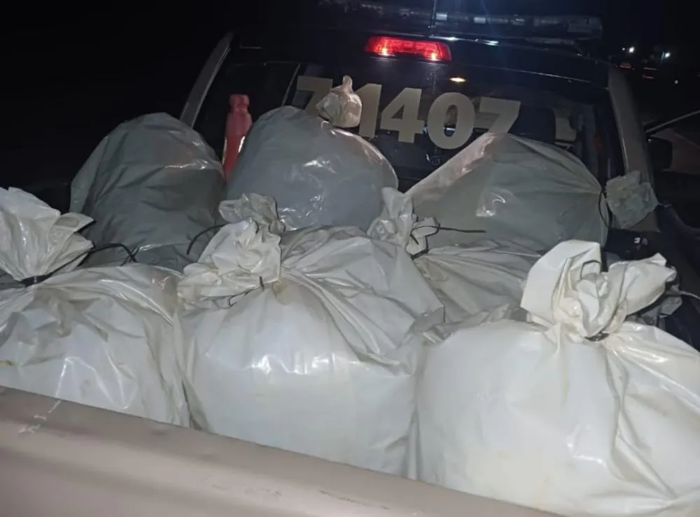Polícia Rodoviária Estadual apreende 80 kg de maconha após condutor desobedecer ordem de parada no posto de Sussuarana